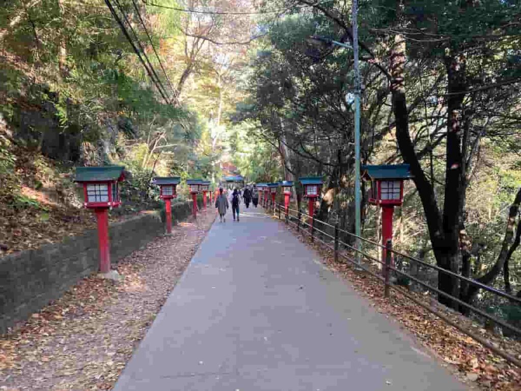 타카오산 1번 코스 대부분 포장길