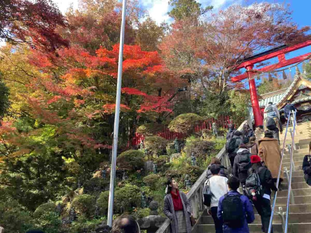 타카오산 1번 코스로 하산