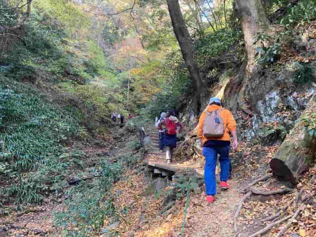 타카오산 6번 등산 코스 숲길, 흙길 위주