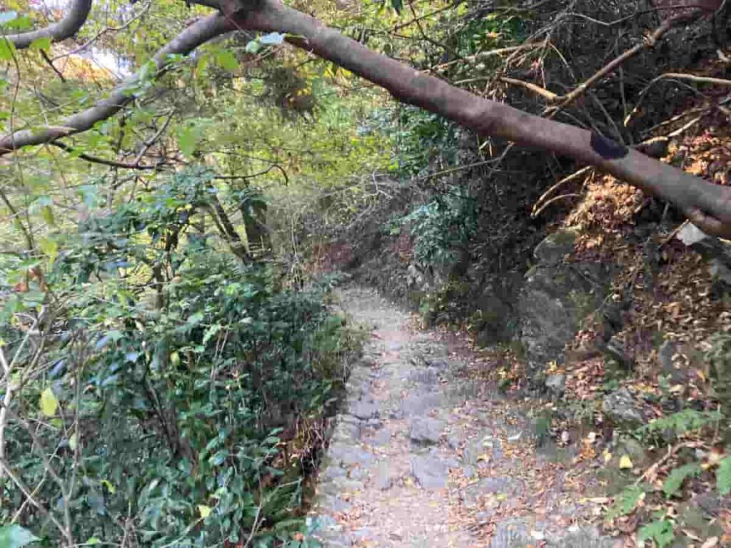 타카오산 6번 코스로 등산