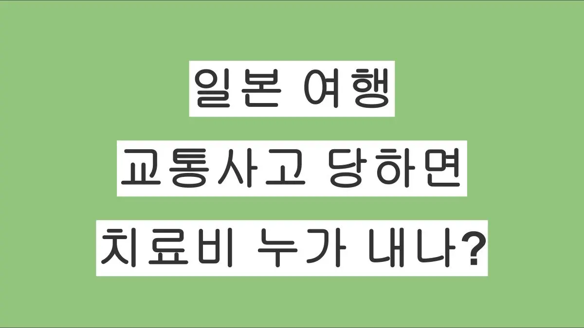 일본 여행 중 교통사고 당하면 치료비는 누가 내나요?