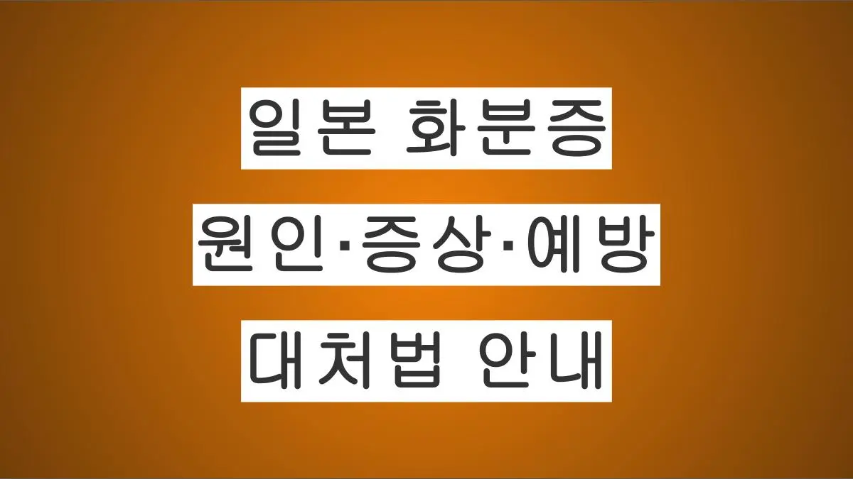 일본의 화분증 원인·증상·예방 및 민간 대처법 안내