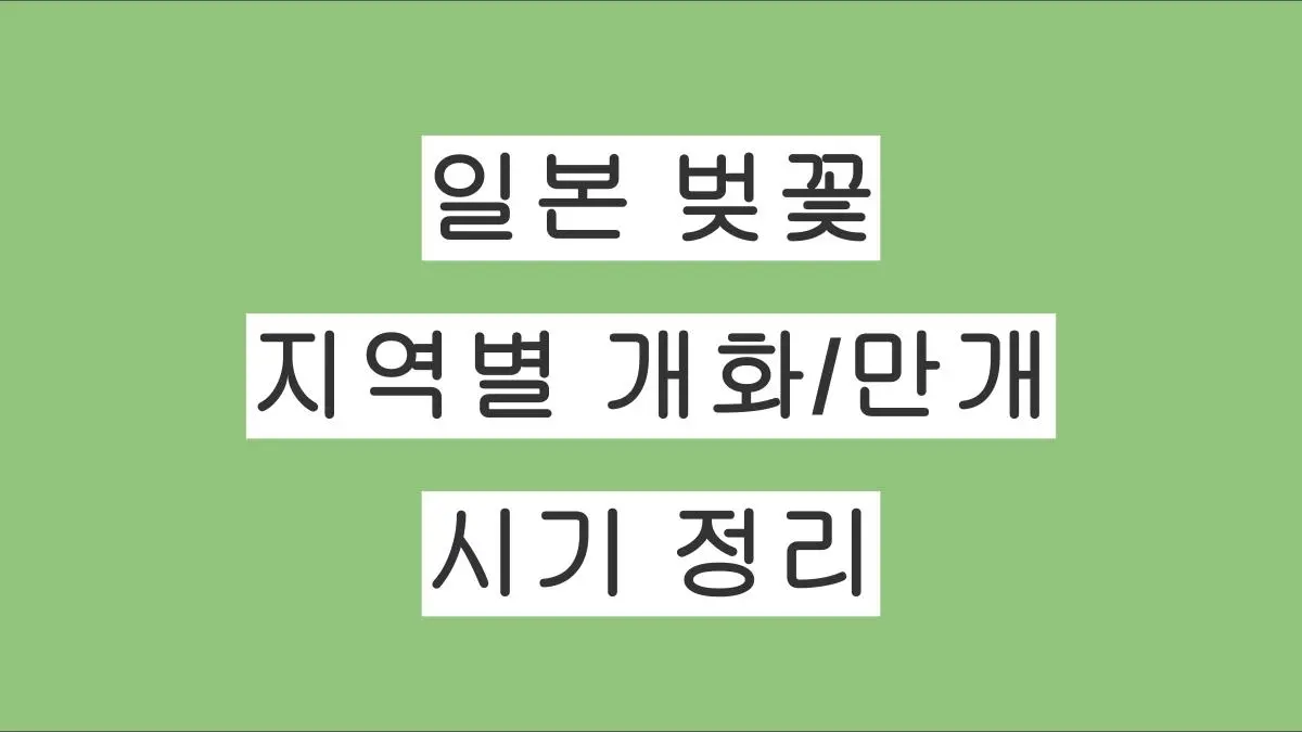 일본 벚꽃 지역별 개화/만개 시기 정리