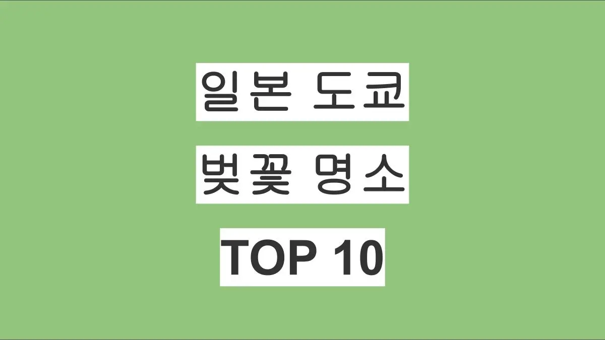 일본 도쿄 벚꽃 명소 TOP 10 총정리