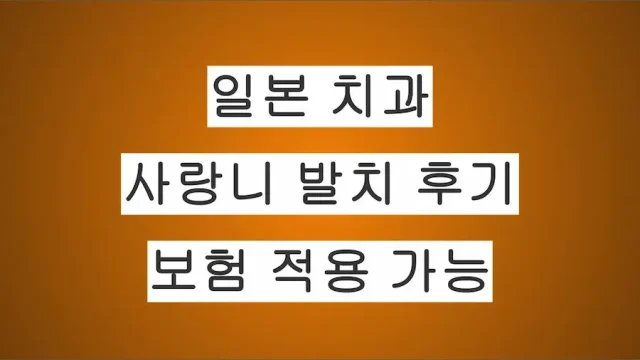 일본에서 사랑니 발치 후기｜보험 적용부터 비용, 치과 선택까지 실제 경험 정리