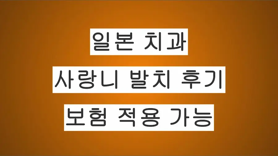 일본에서 사랑니 발치 후기 정리